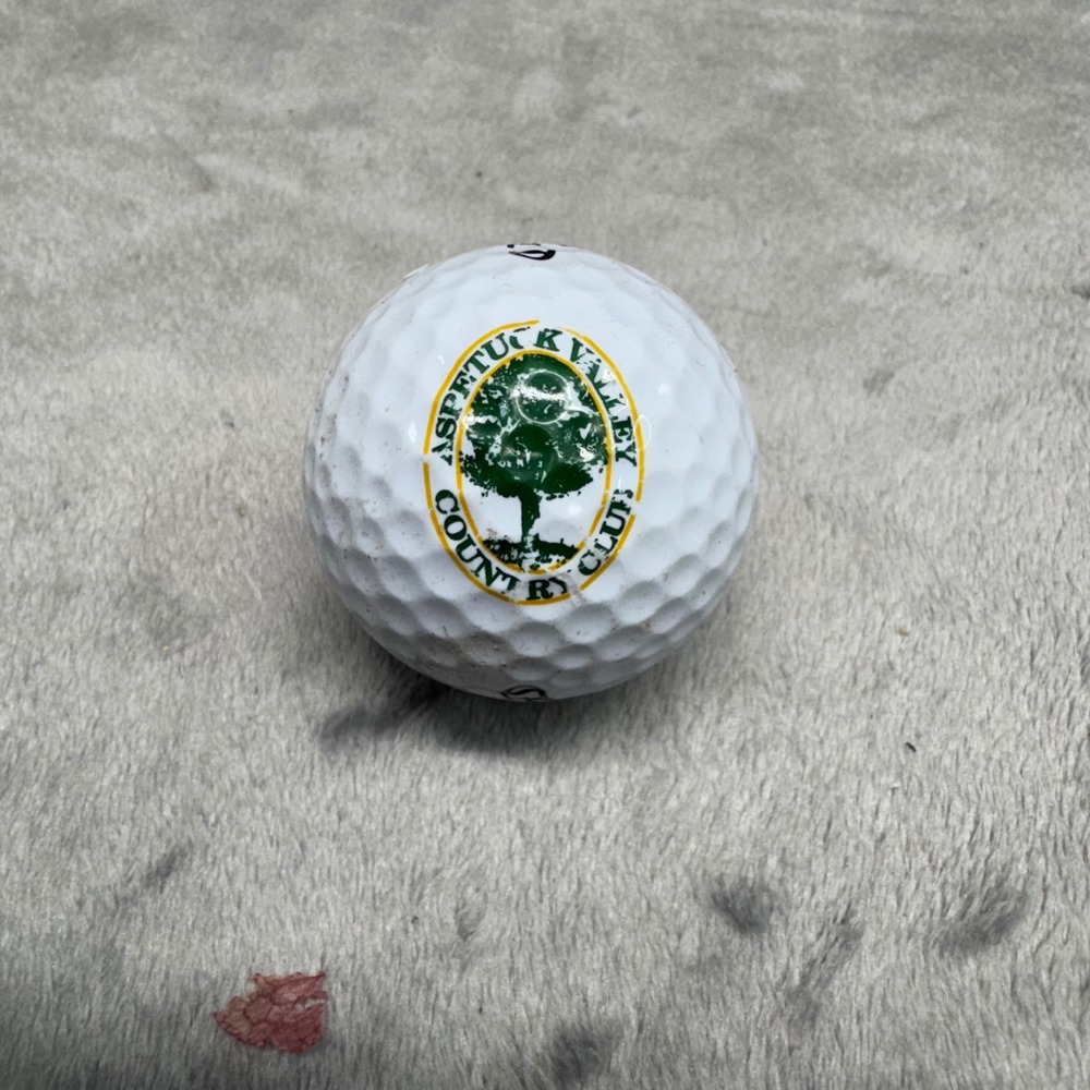 Callaway Warbird Golf Ball Aspen‎ Valley Country Club Logo White